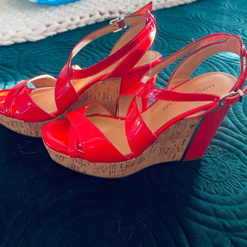 Antonio Melani Wedges